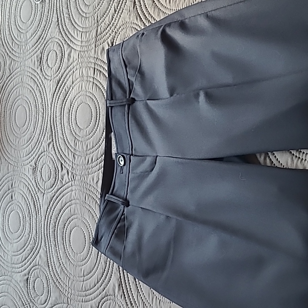 Ann taylor capris